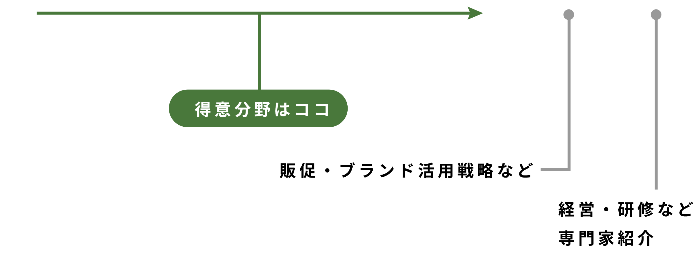 得意分野